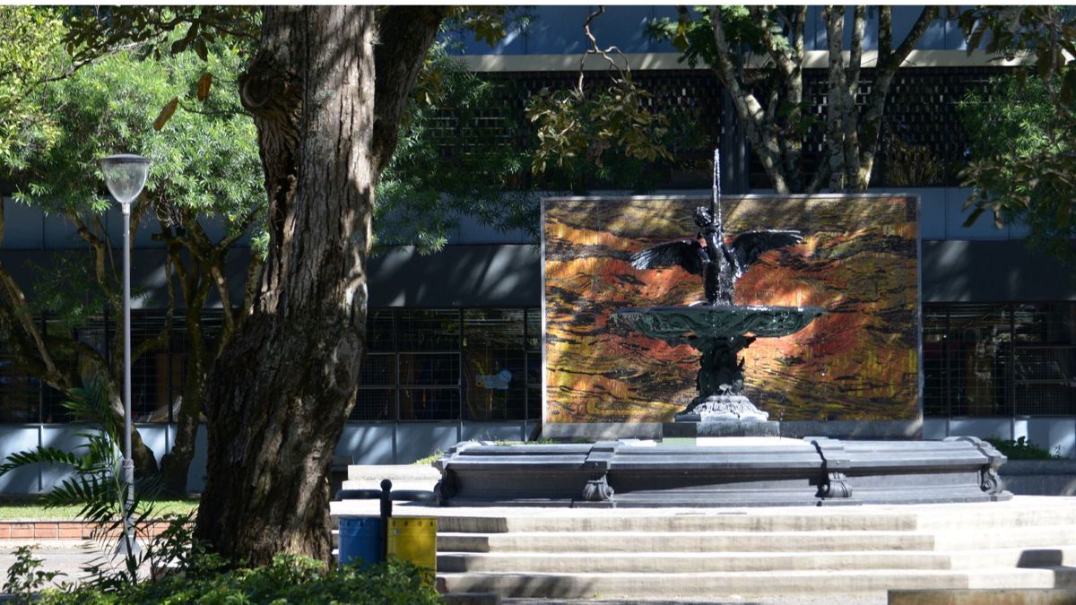 Foto con fines ilustrativos Fuente: UCR